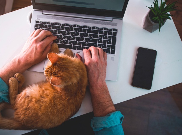 Professional working remotely with his cat